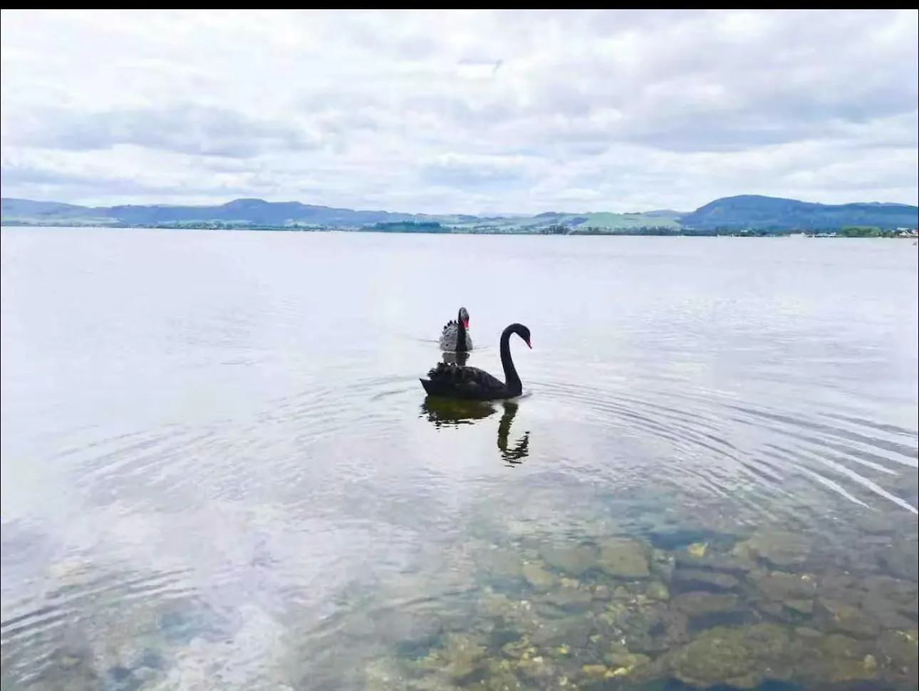 Holiday home Absolutely Lake Front House-Private Lake Access Rotorua New Zealand